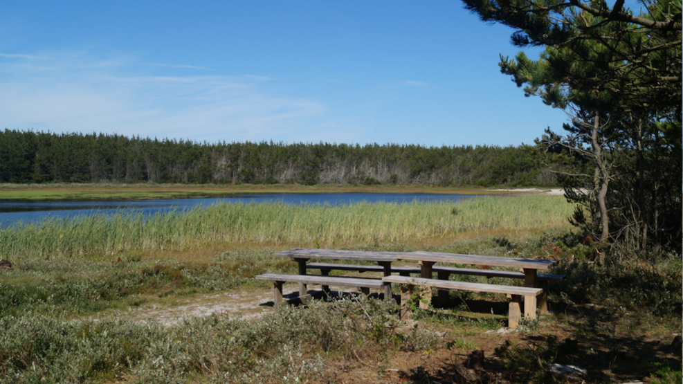 Bathing lake Skavemosen