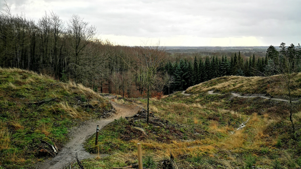 Trail of Ancient Times - Sir Lyngbjerg Plantage