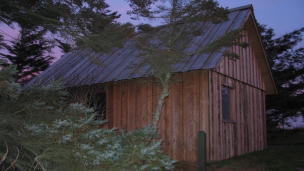 Krogshede shelter - Picnic house and bird observation tower