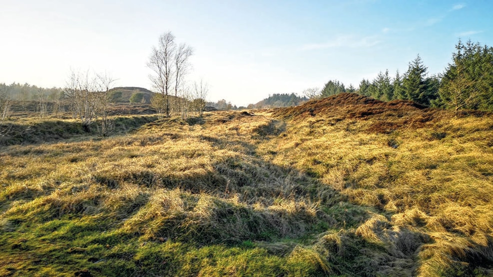 Trail of Ancient Times - Mangehøje Plantage, Gravhøje