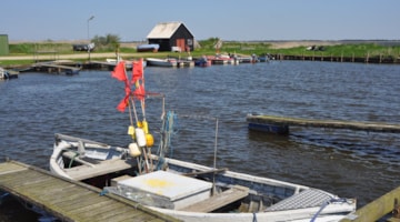 Nissum Fjord - Lystfiskeri