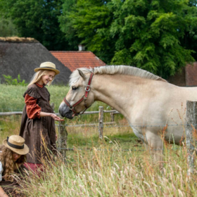 Open Air Museum Hjerl Hede