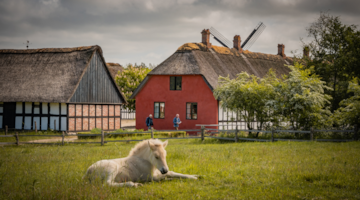 Frilandsmuseet Hjerl Hede – Historiske Huse og Haver