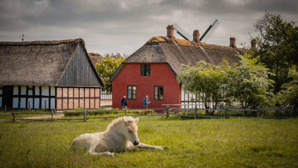 Frilandsmuseet Hjerl Hede – Historiske Huse og Haver