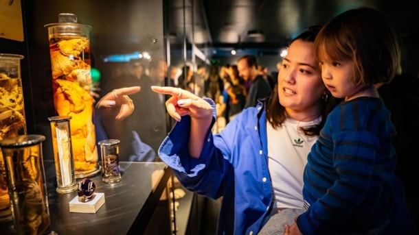 Draget mod dybet - med nye kunstnere