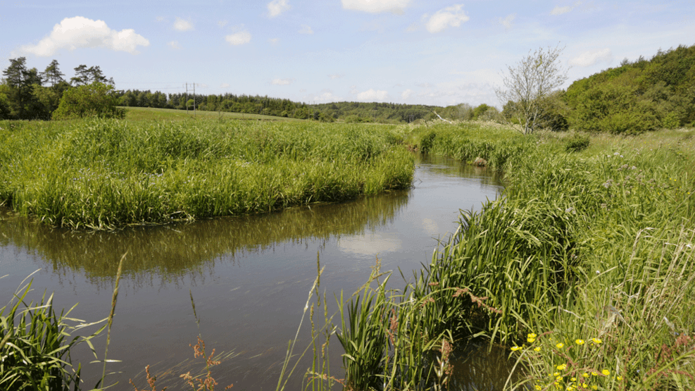 Bike and hike - Skovlund and along Vegen Å