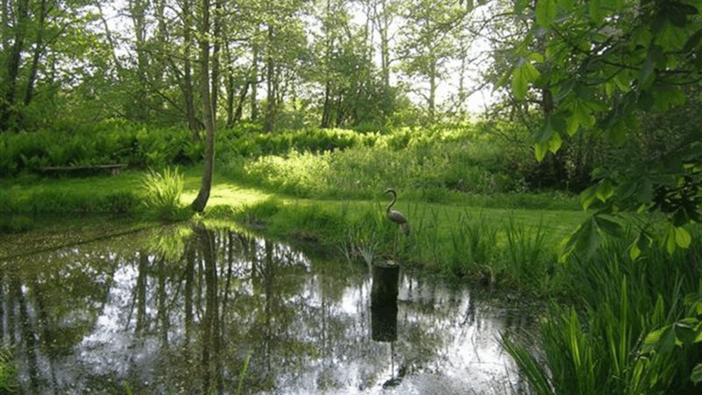 Borbjerg Møllesø - Angling Water