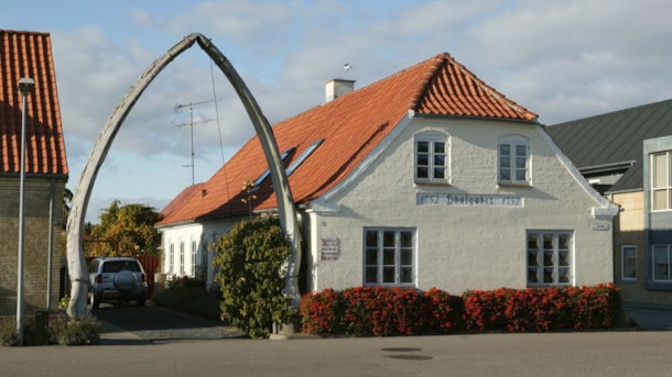 The Whale Jaws