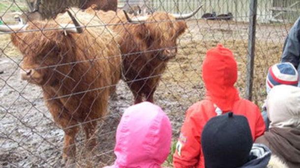 Ishøj Animal Park