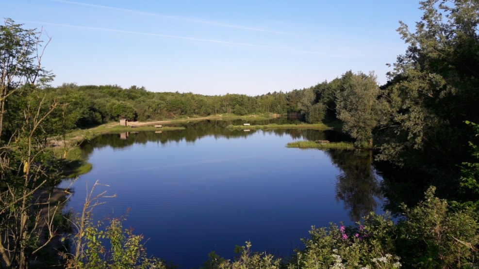 Fishing at Blokhus Fiskepark