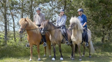 Camping med heste - Rødhus Klit Camping