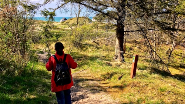 Stedkender - Lokalguide og guidede ture