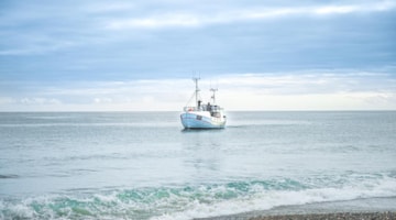 Northsea Fishing