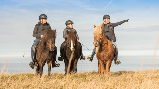 Fårup Sommerland - guidet rideture på islandske heste