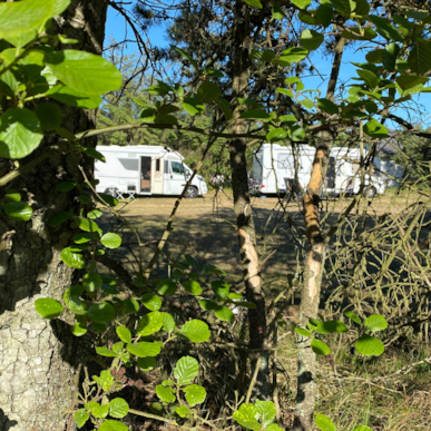 Blokhus Natur Camping