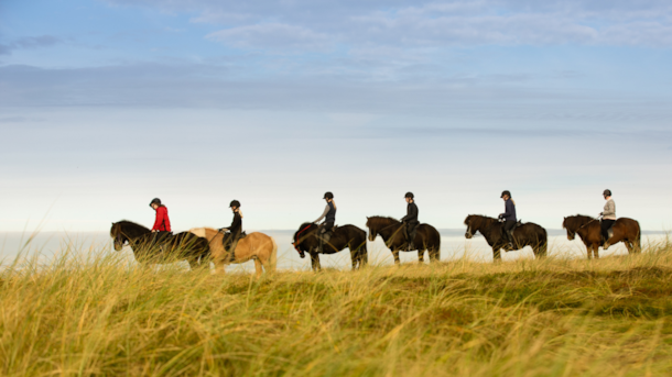 Fårup Sommerland - guidede rideture på islandske heste