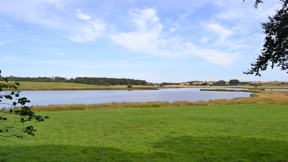 Skjold Stream and Bjerre Lake