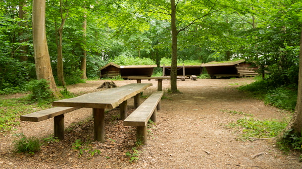 Shelters in Tønballe Wald