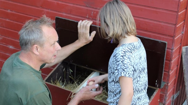 Lykkebjerg Bondegårdsferie
