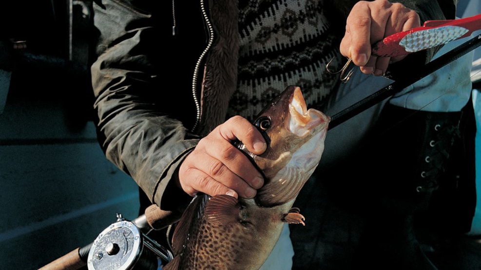 Inshore fishing at Reersø Rev