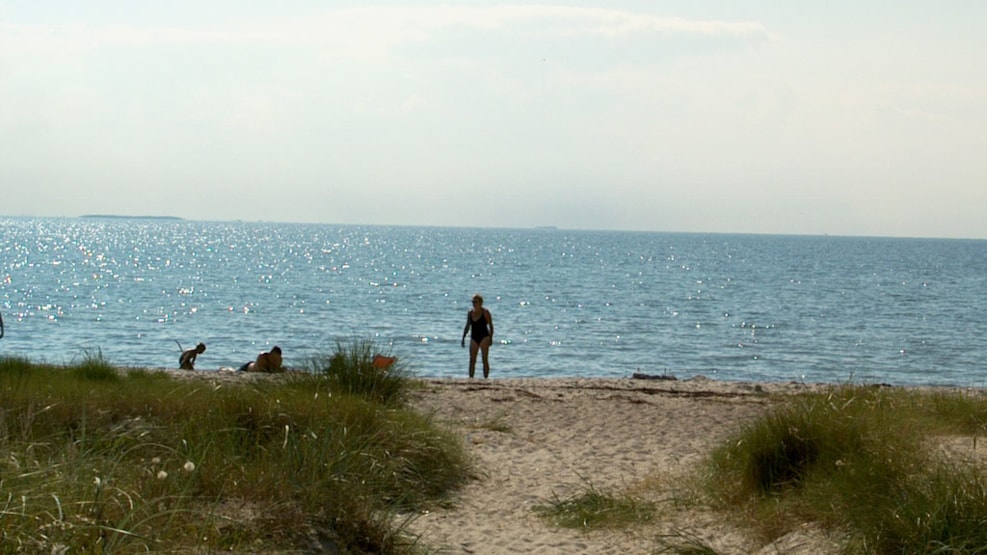 Svenstrup Shore