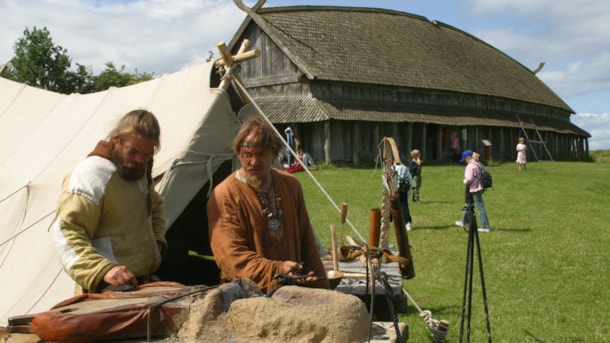 Trelleborg - museum of the Viking Age