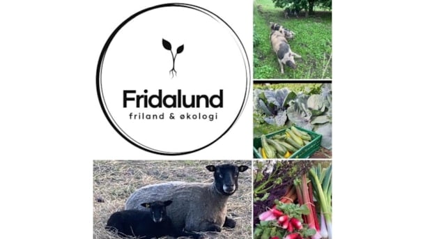 Fridalund