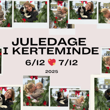 JULEDAGE OG JULEMARKED I KERTEMINDE