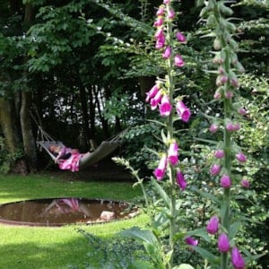 Fru Pedersens Have - Visitor Garden