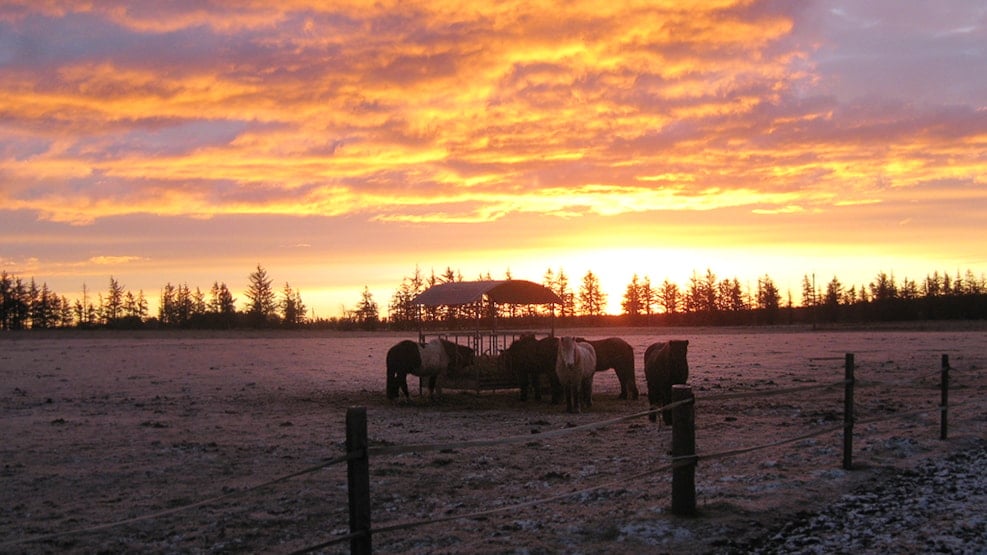 Mølgaard Ridecenter