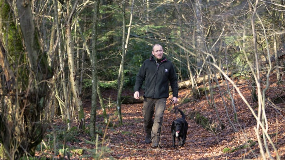 Dog Forest Klosterheden