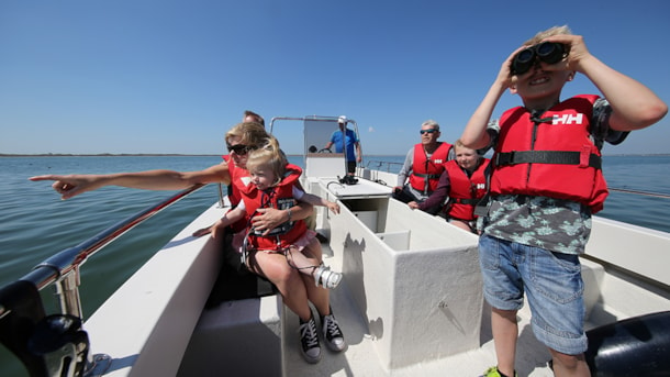 Robben-Safari mit Boot im Limfjord - kopi