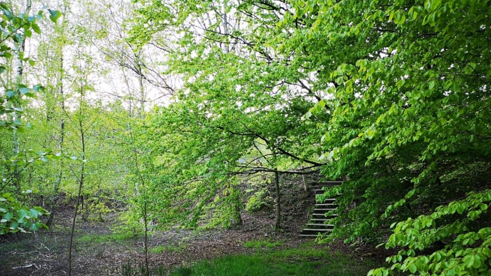 Hike - The Trail at Møborg Bakkeø