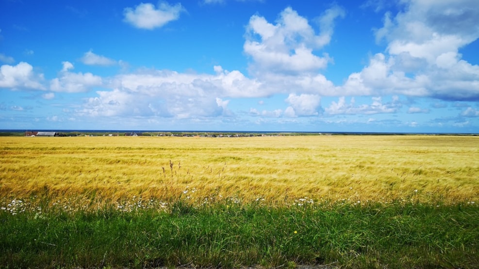 Hike - Ferring Lake