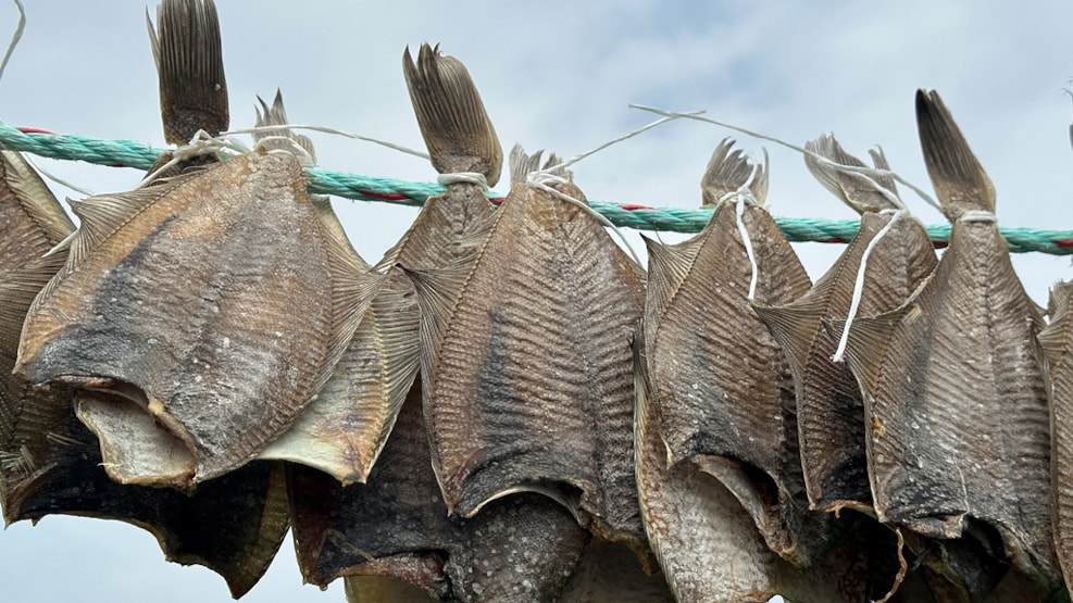 fiskedag3