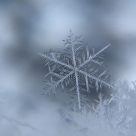 Vinterferie i Lemvig