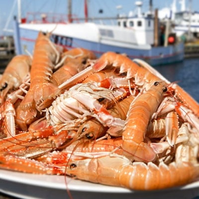 Norwegian Lobster Festival