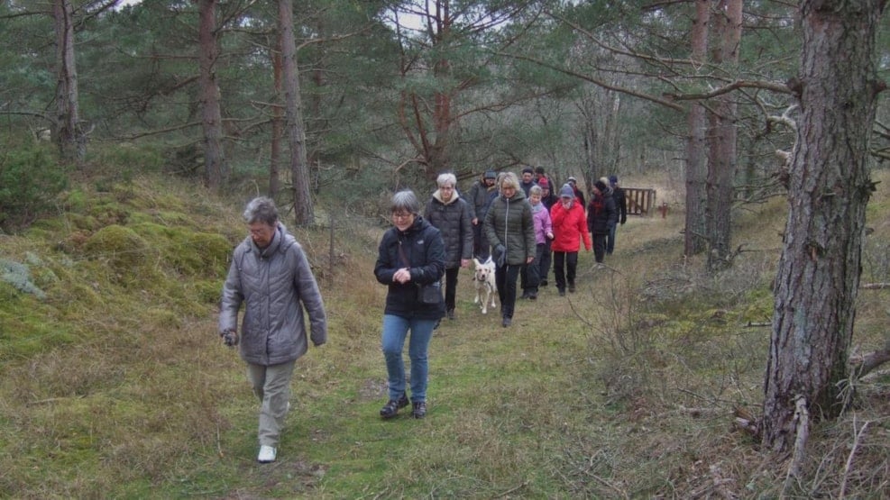 Hjertesti Foldgårdssøen