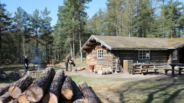 Waldhütte auf Læsø