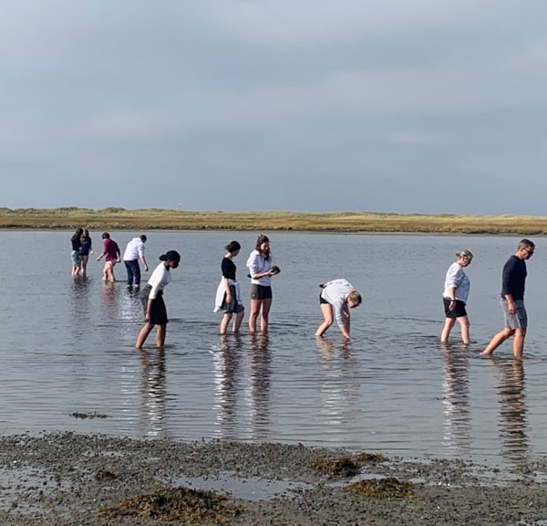 Dykkerspot - Stokken - naturdyk ved Læsø
