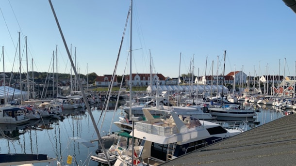 Quay Festival in Vesterø