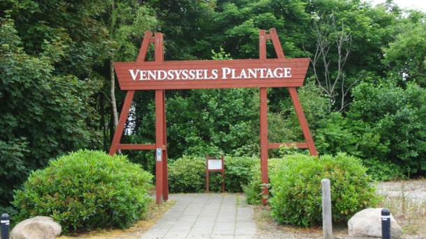 Vendsyssel's Plantation