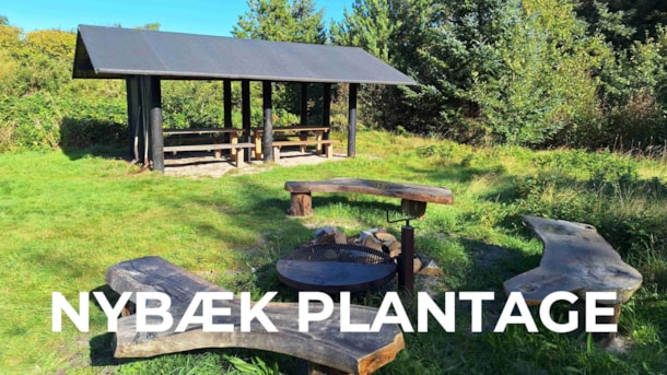 Nybæk Plantage