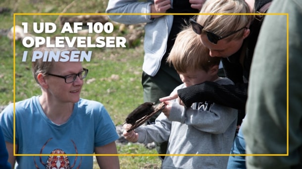 Kinder treffen auf Kunst und Natur