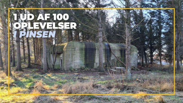 Bunker Touren auf Dänisch (Stadtmitte)