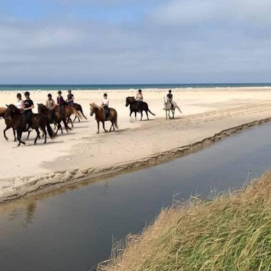 [DELETED] Hook & Cook Saga Heste ridetur langs kysten
