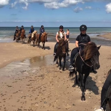 Hook & Cook - Ridetur langs kysten med Saga Heste
