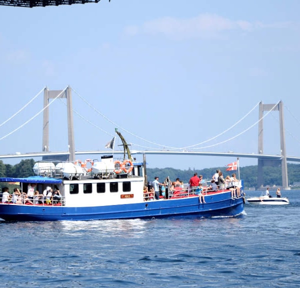 Walsafari mit dem Tourenboot Mira3