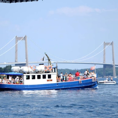 Walsafari mit dem Tourenboot Mira3