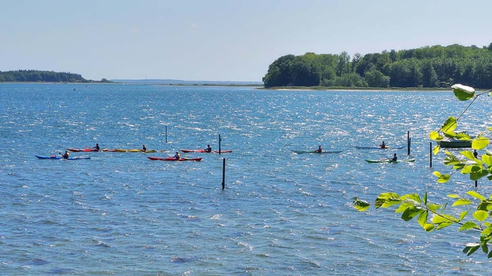 Sea Kayak for groups